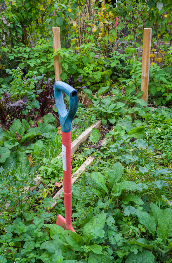 Chris gardening demo-6